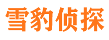 遂宁侦探公司